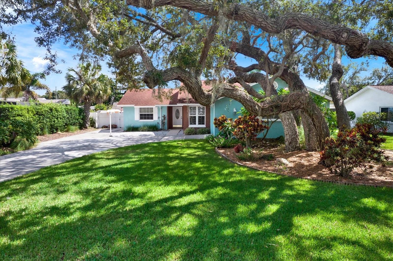 1601 Avoca Dr Property Photo 3