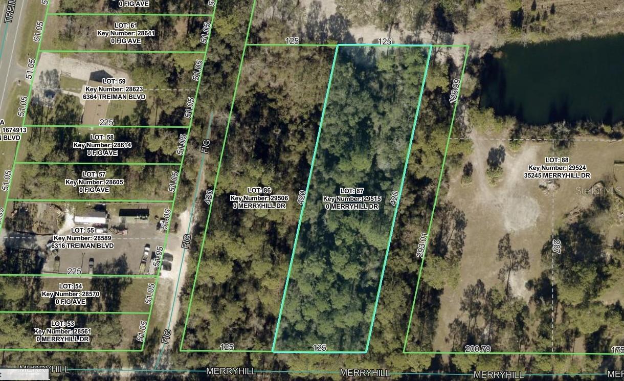 Merryhill Dr Property Photo 2