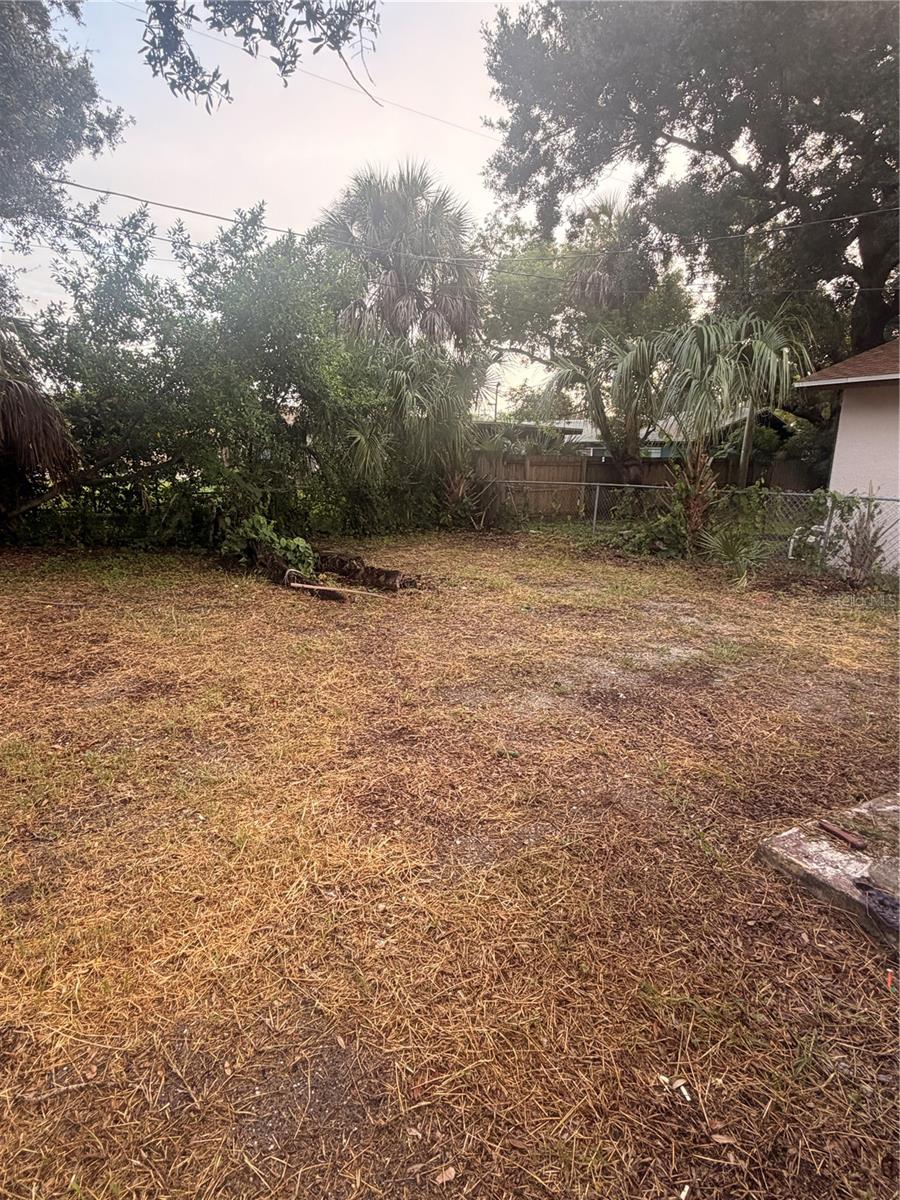1110 Carlton St Property Photo 16