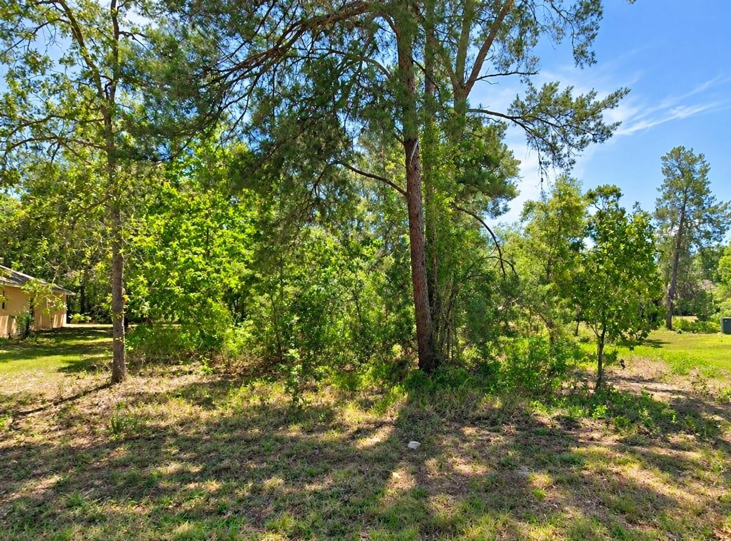 10 Dracaena Ct Property Photo 1