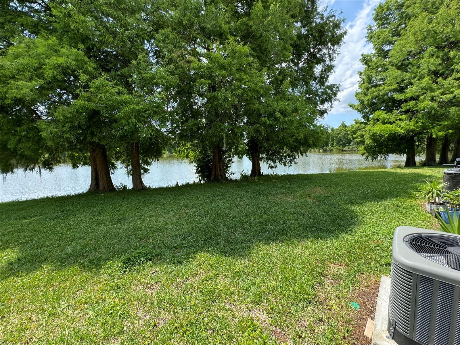 12356 Berkeley Square Dr Property Photo 19