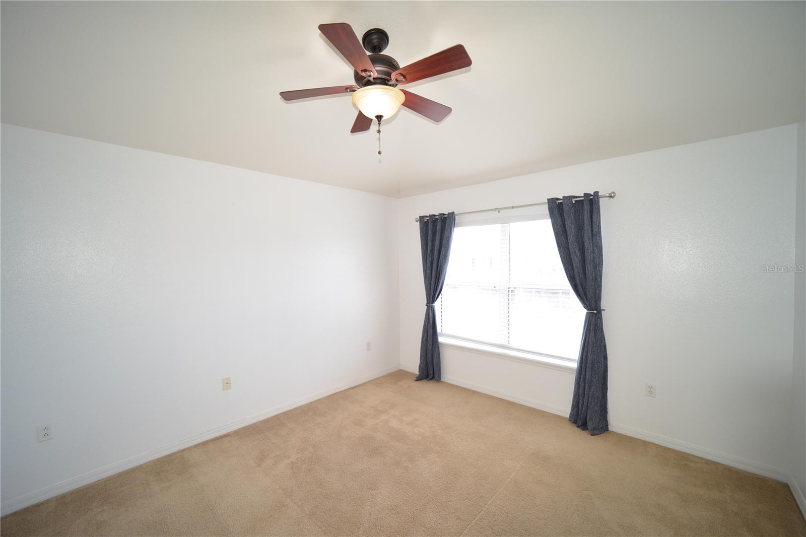 2328 Tanbark Ridge Pl Property Photo 15