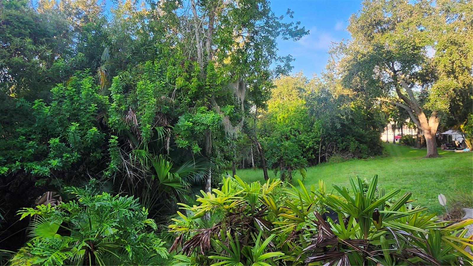 1764 Arabian Ln Property Photo 10