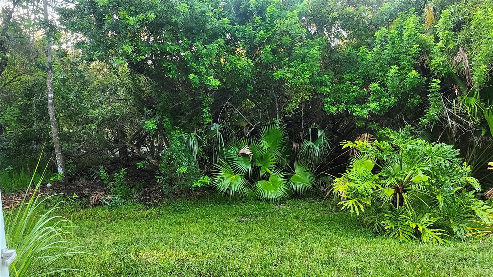1764 Arabian Ln Property Photo 11