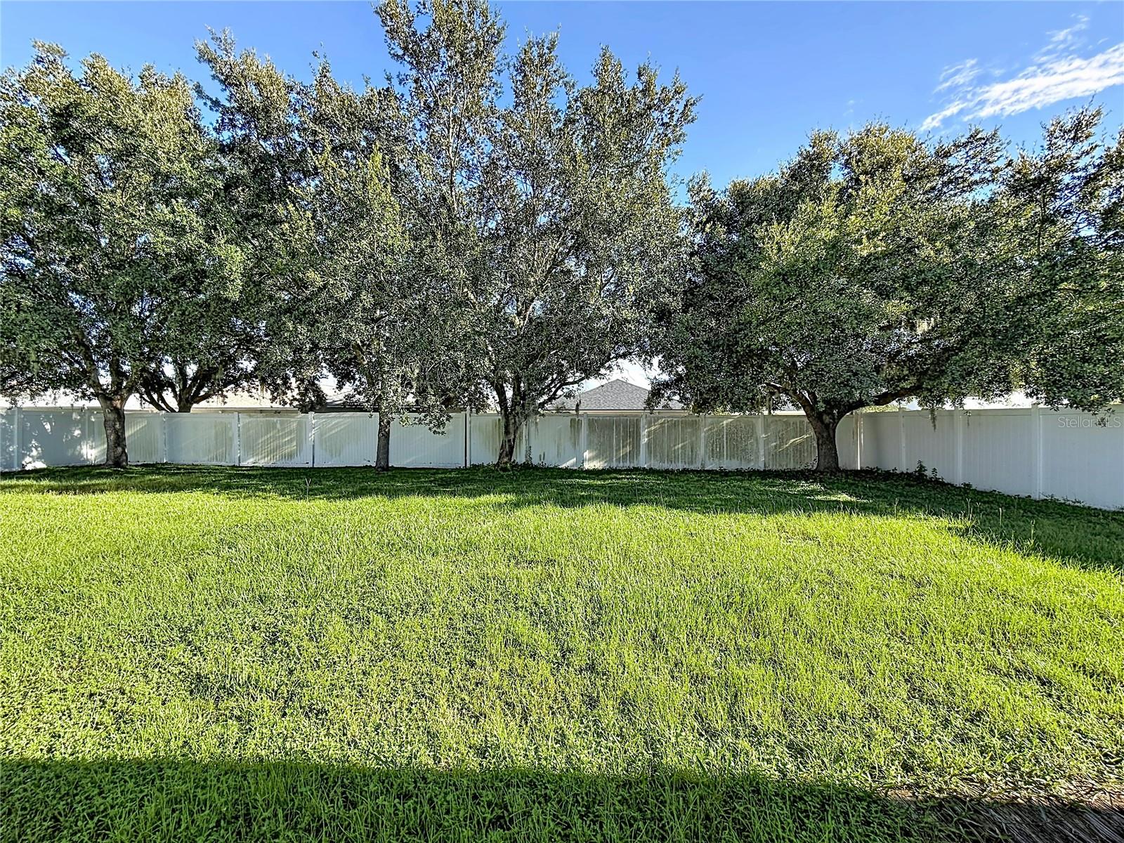 31225 Tagus Loop Property Photo 22
