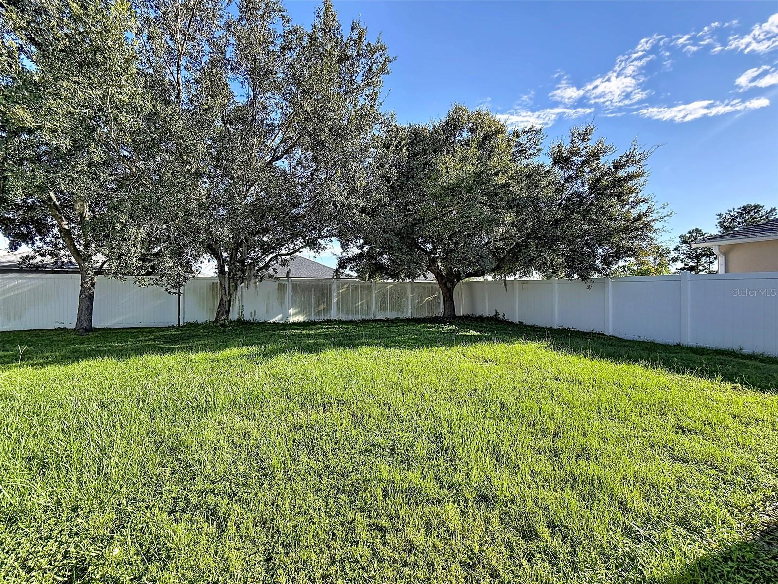 31225 Tagus Loop Property Photo 23