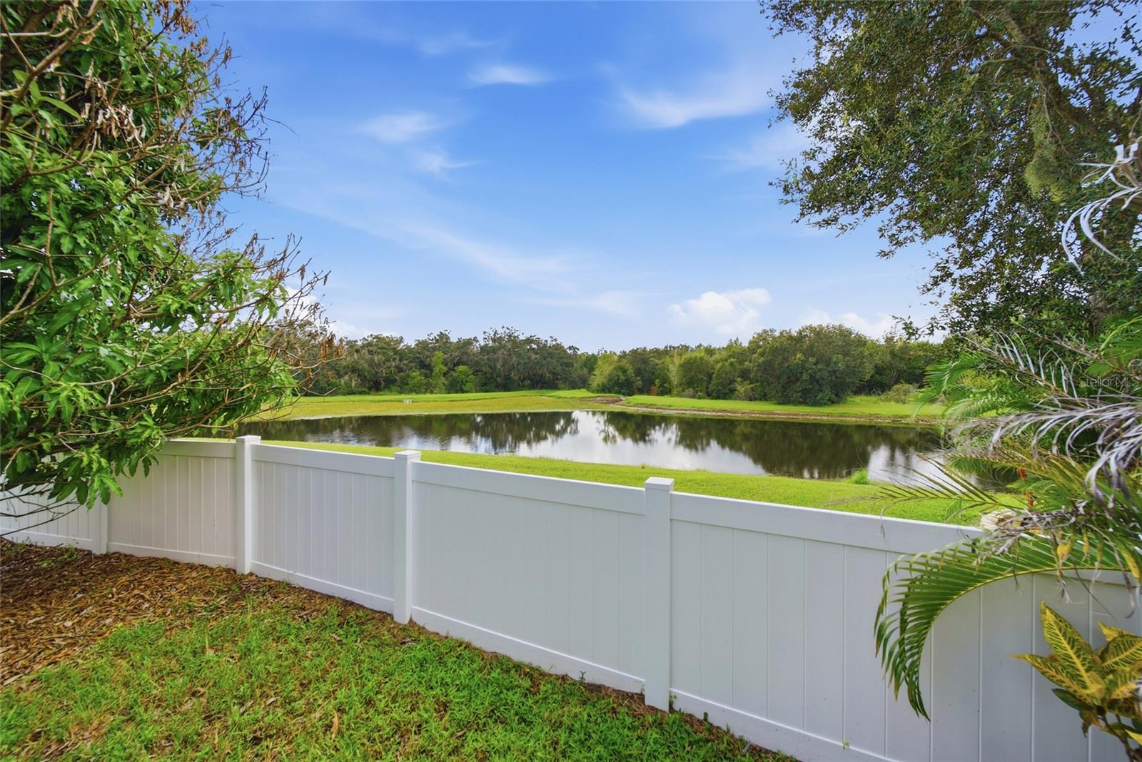 11139 Golden Silence Dr Property Photo 35
