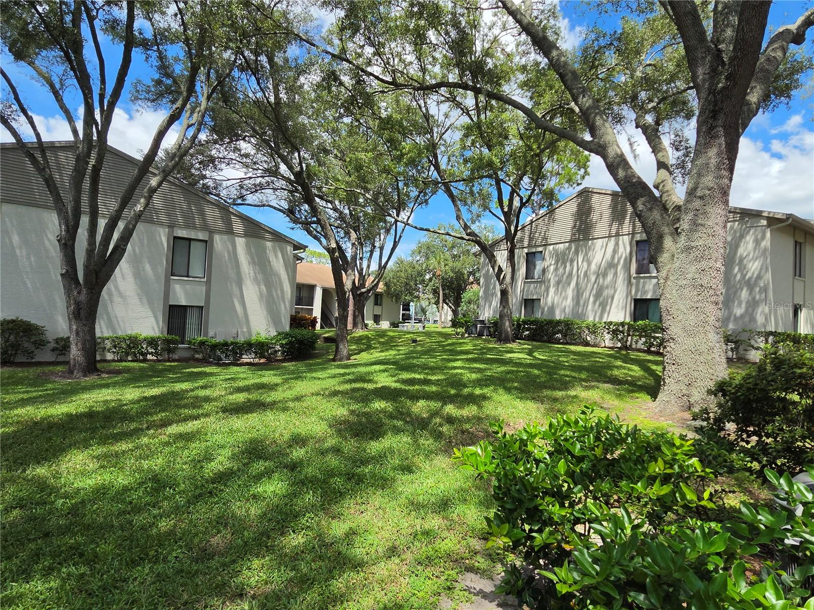 1700 PINE RIDGE WAY E #C1 Property Photo 1
