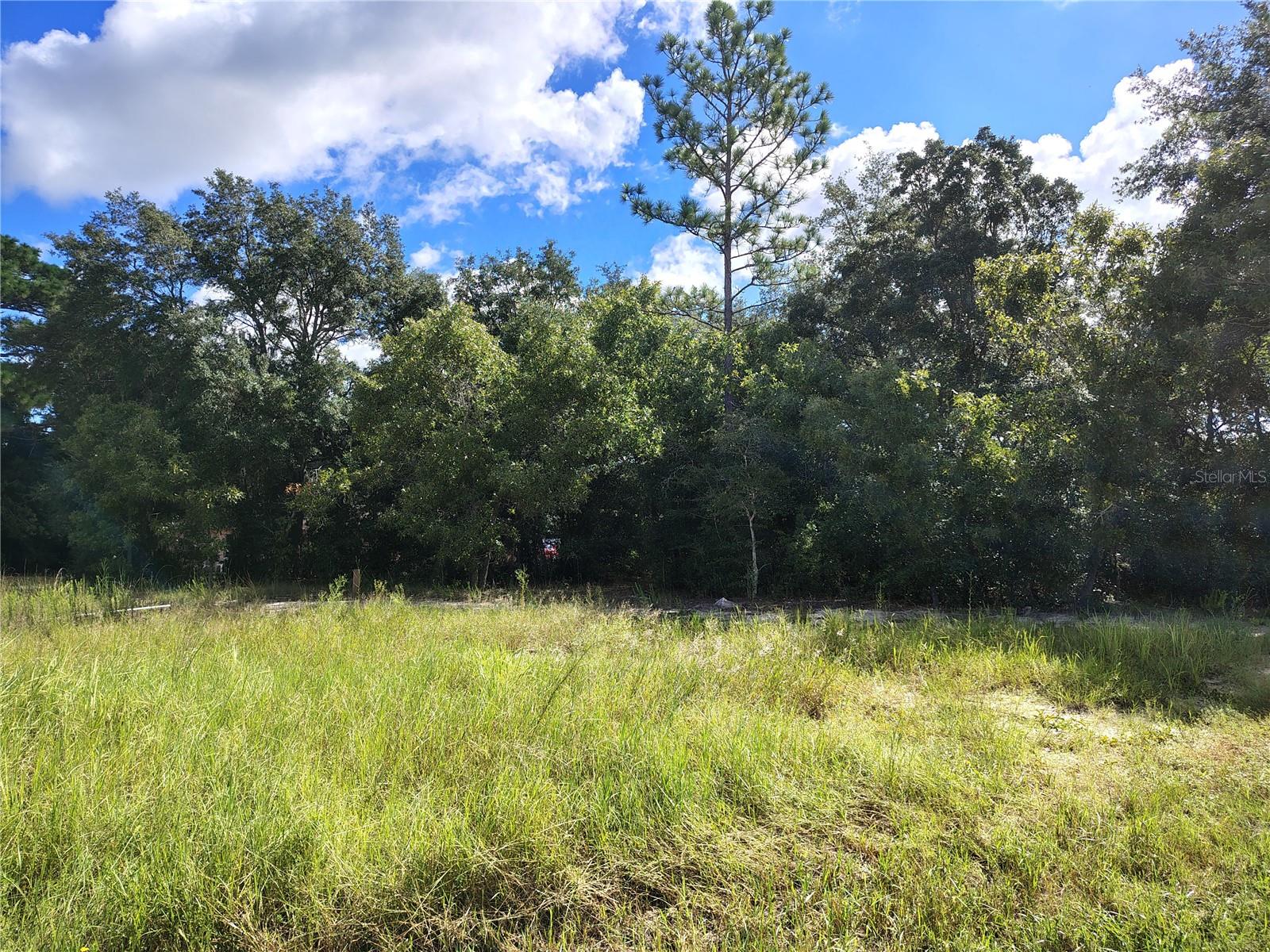 Silver Springs Shores Unit16 Property Photo 1