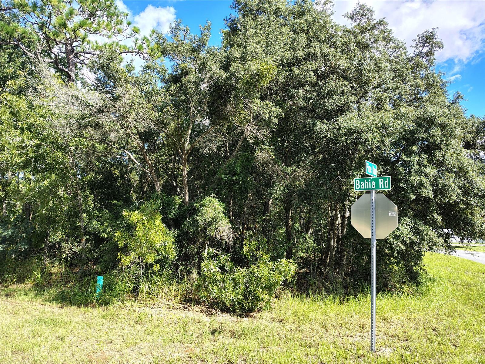 Silver Springs Shores Unit16 Property Photo 5