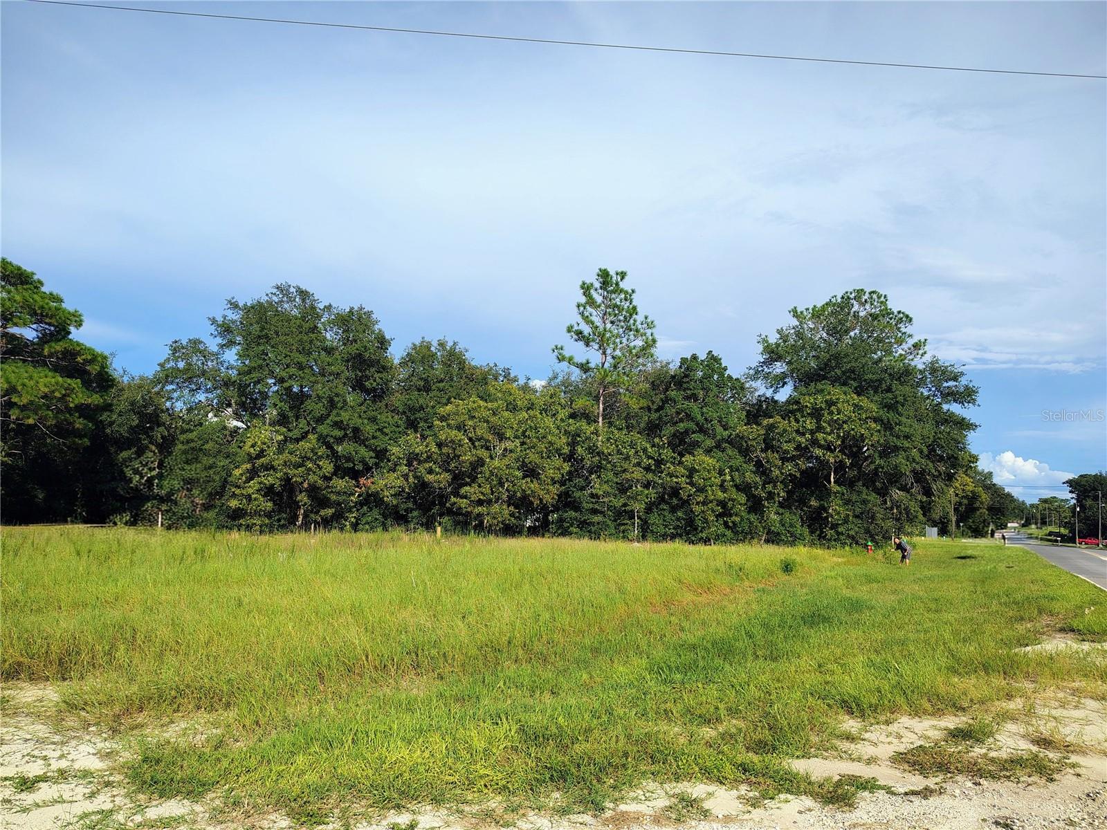 Silver Springs Shores Unit16 Property Photo 8