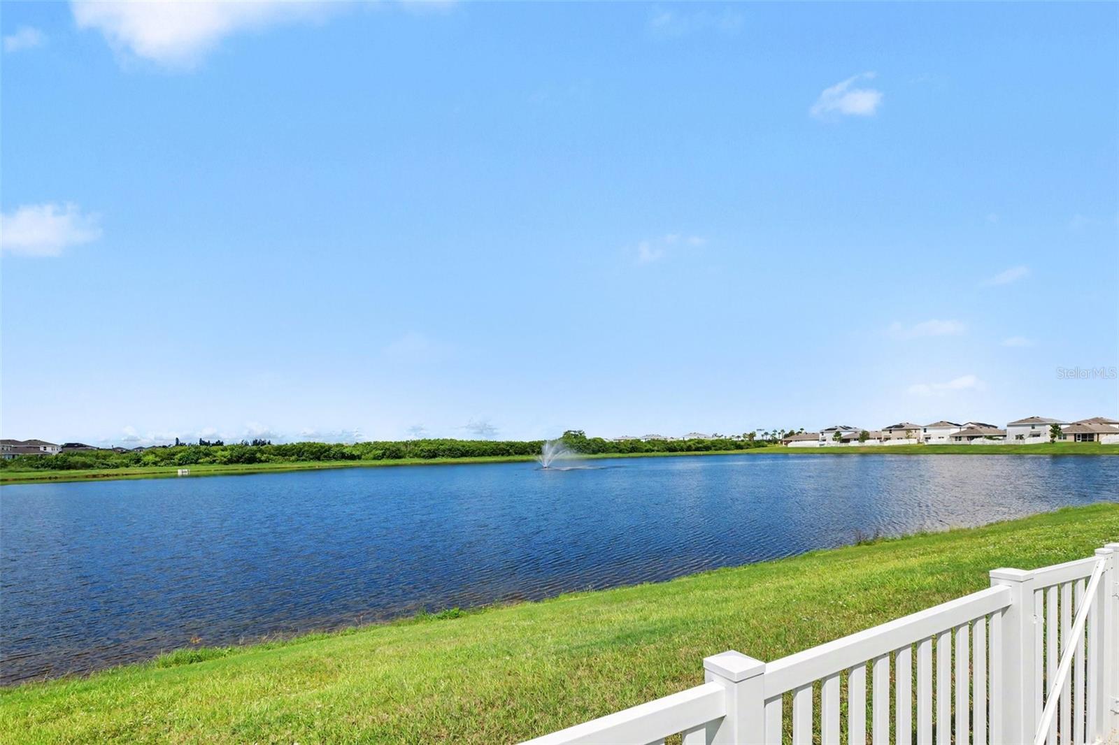 498 Olive Conch St Property Photo 4