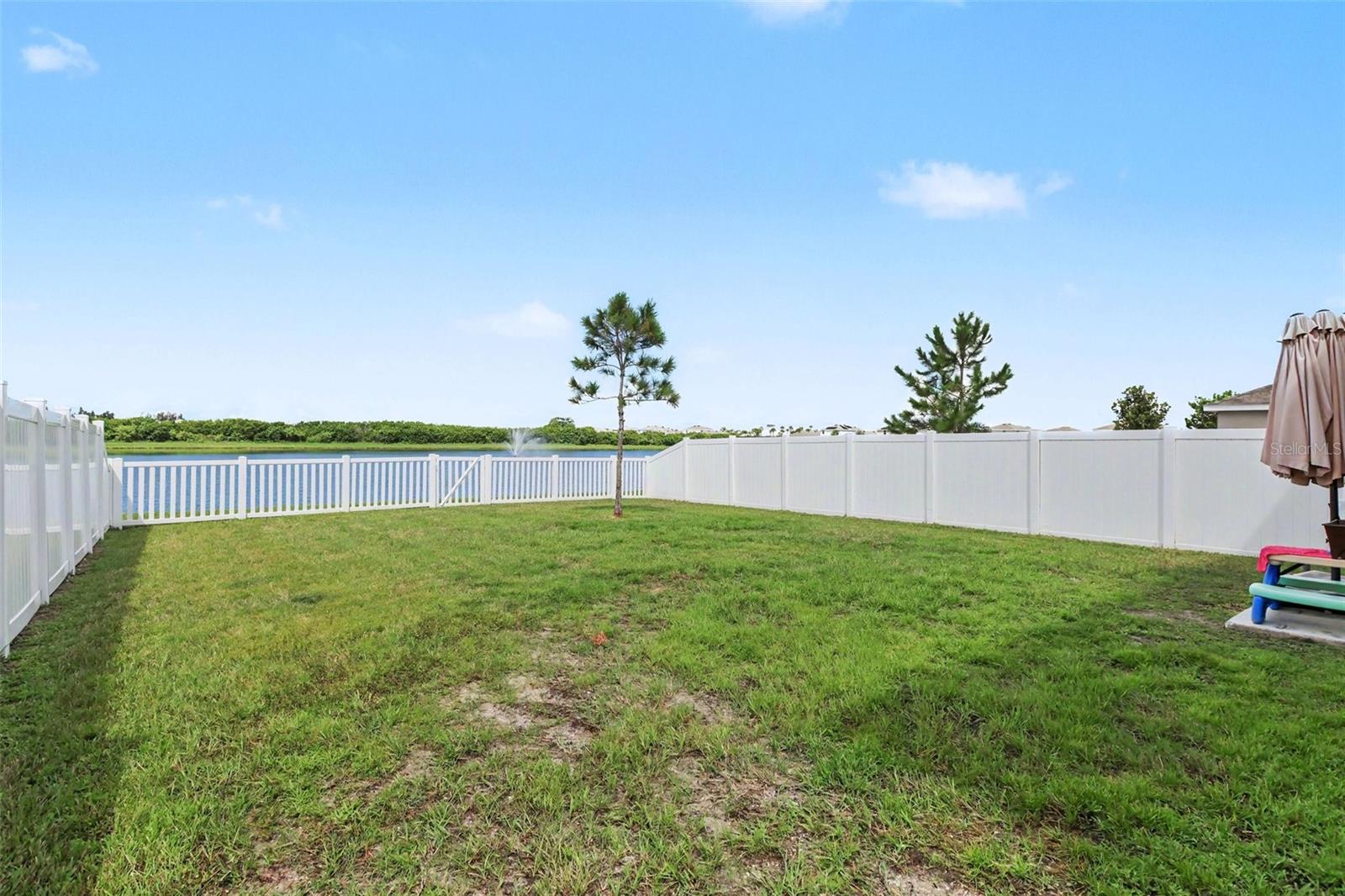 498 Olive Conch St Property Photo 5