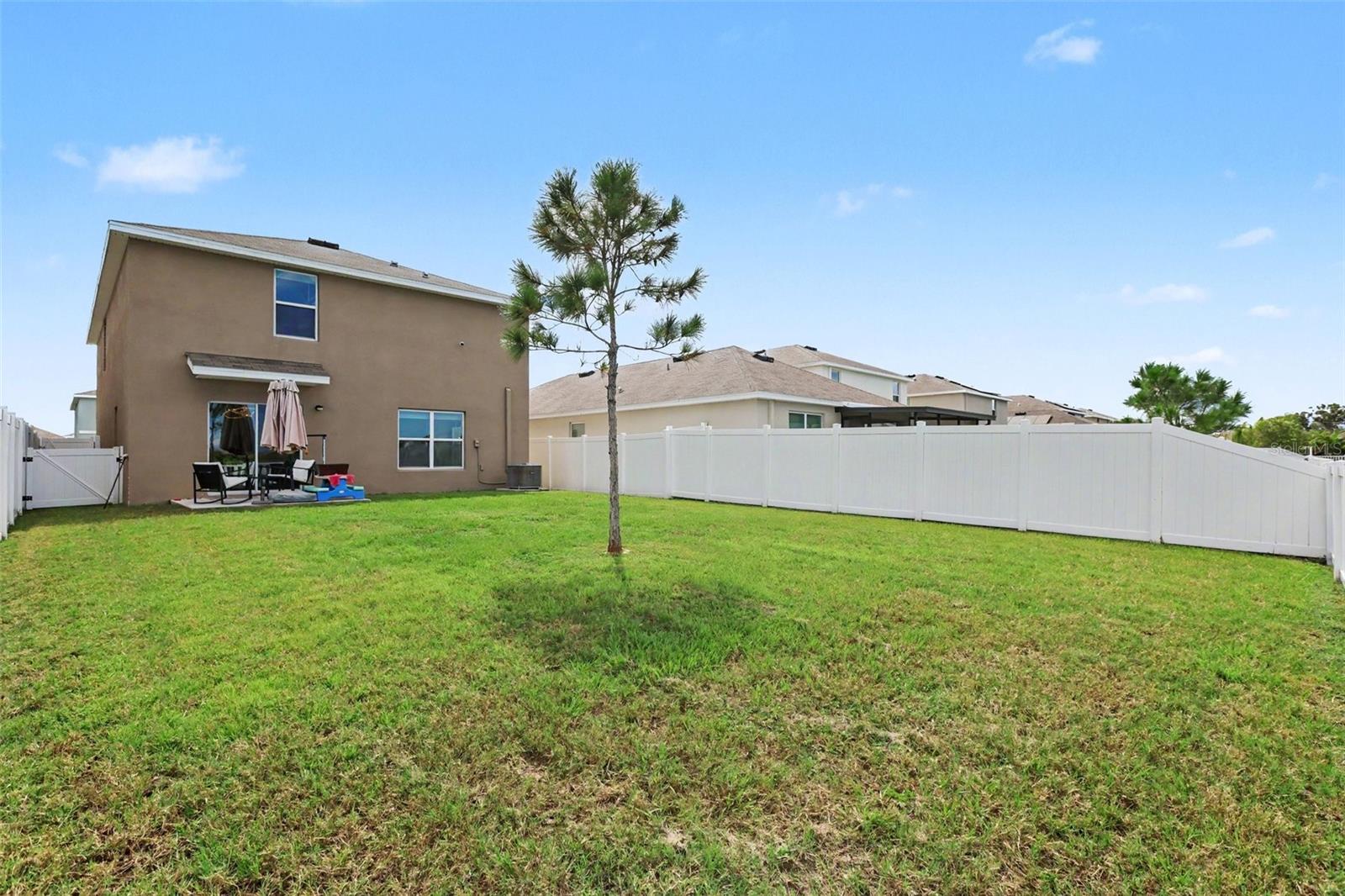 498 Olive Conch St Property Photo 19