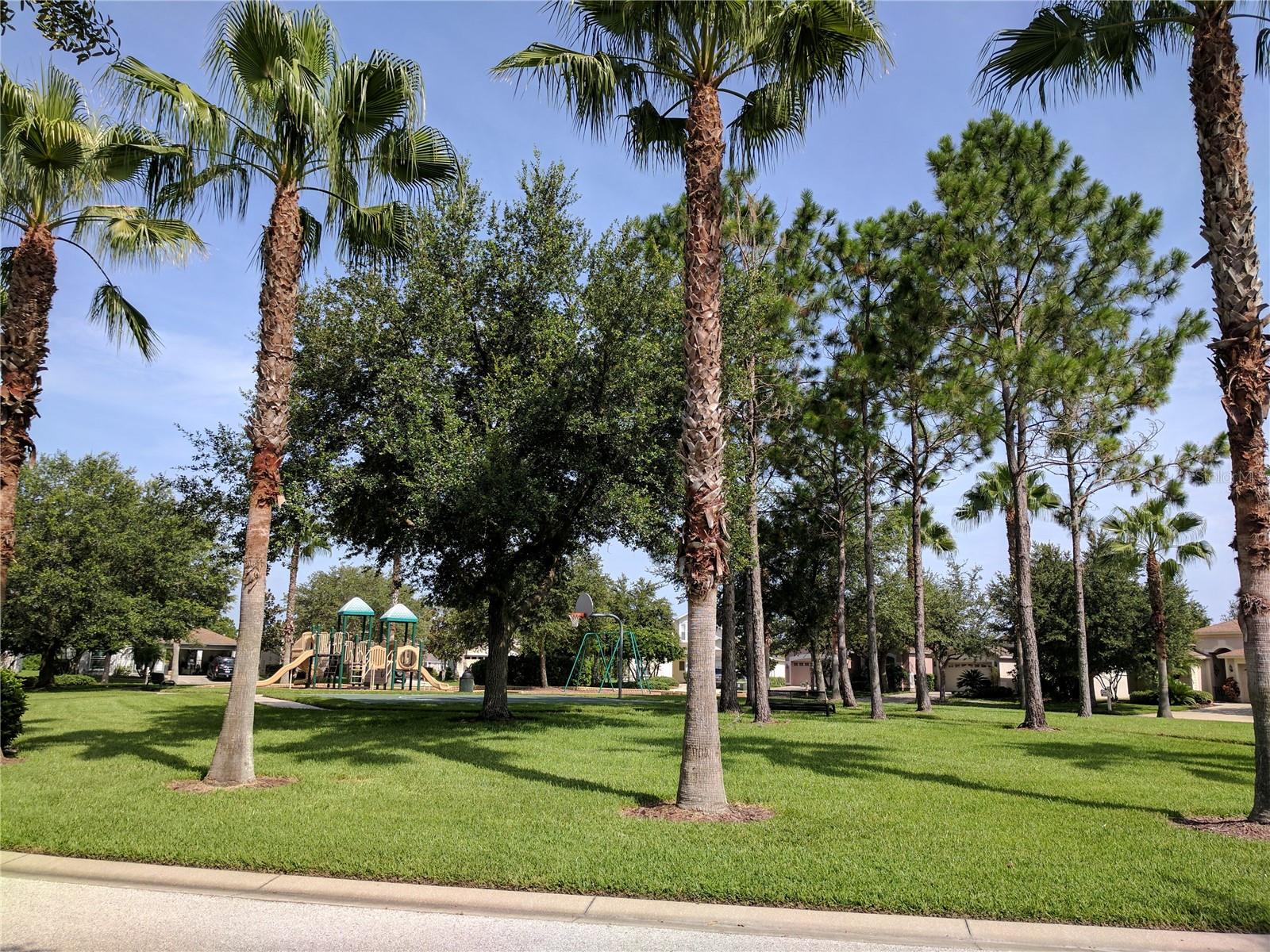 18072 Arbor Crest Dr Property Photo 12