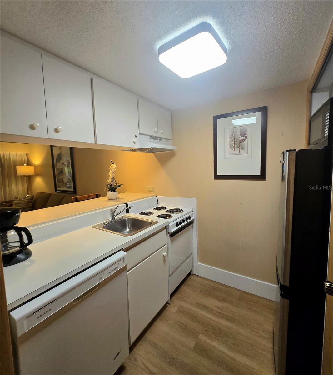 36750 Us Highway 19 N #13-214 Property Photo 8