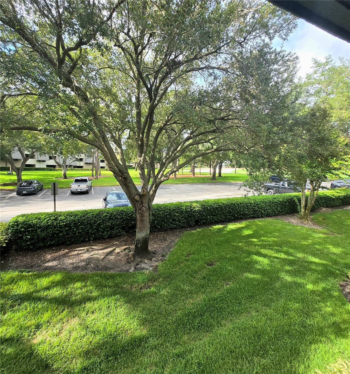 36750 Us Highway 19 N #13-214 Property Photo 14