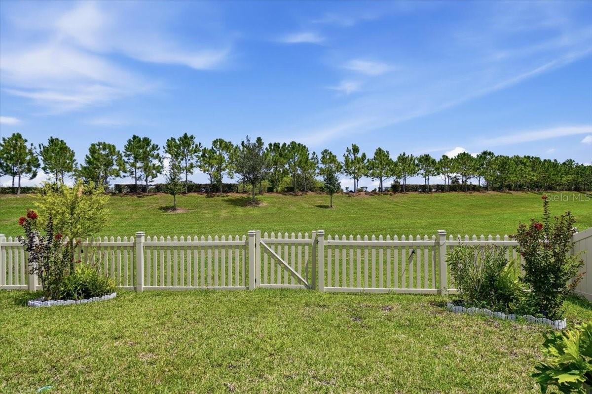 6561 Great Bear Dr Property Photo 48