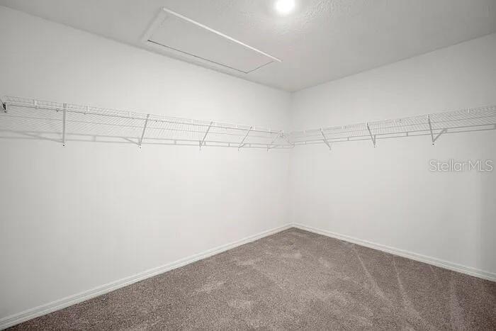 16649 Carlton Pond St Property Photo 19