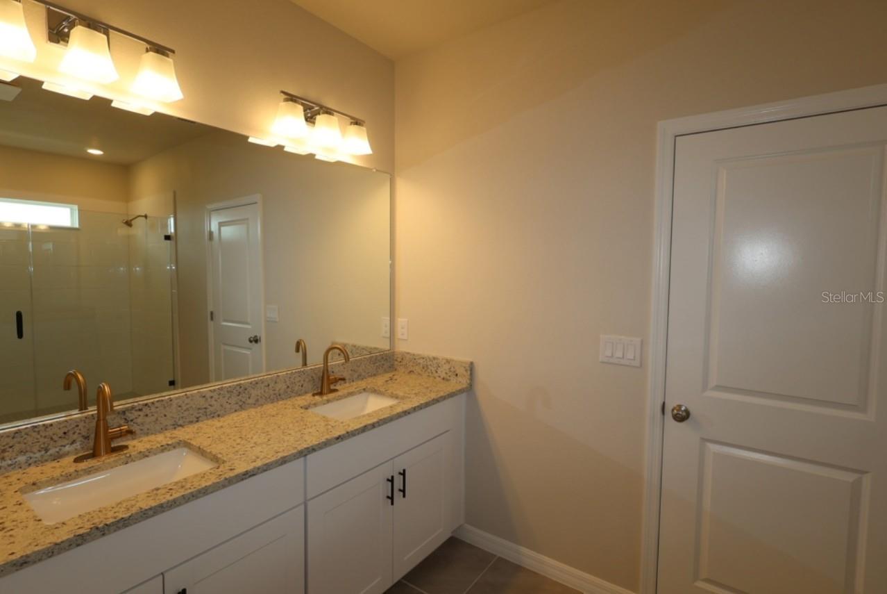 3528 Caspian Chervil St Property Photo 13