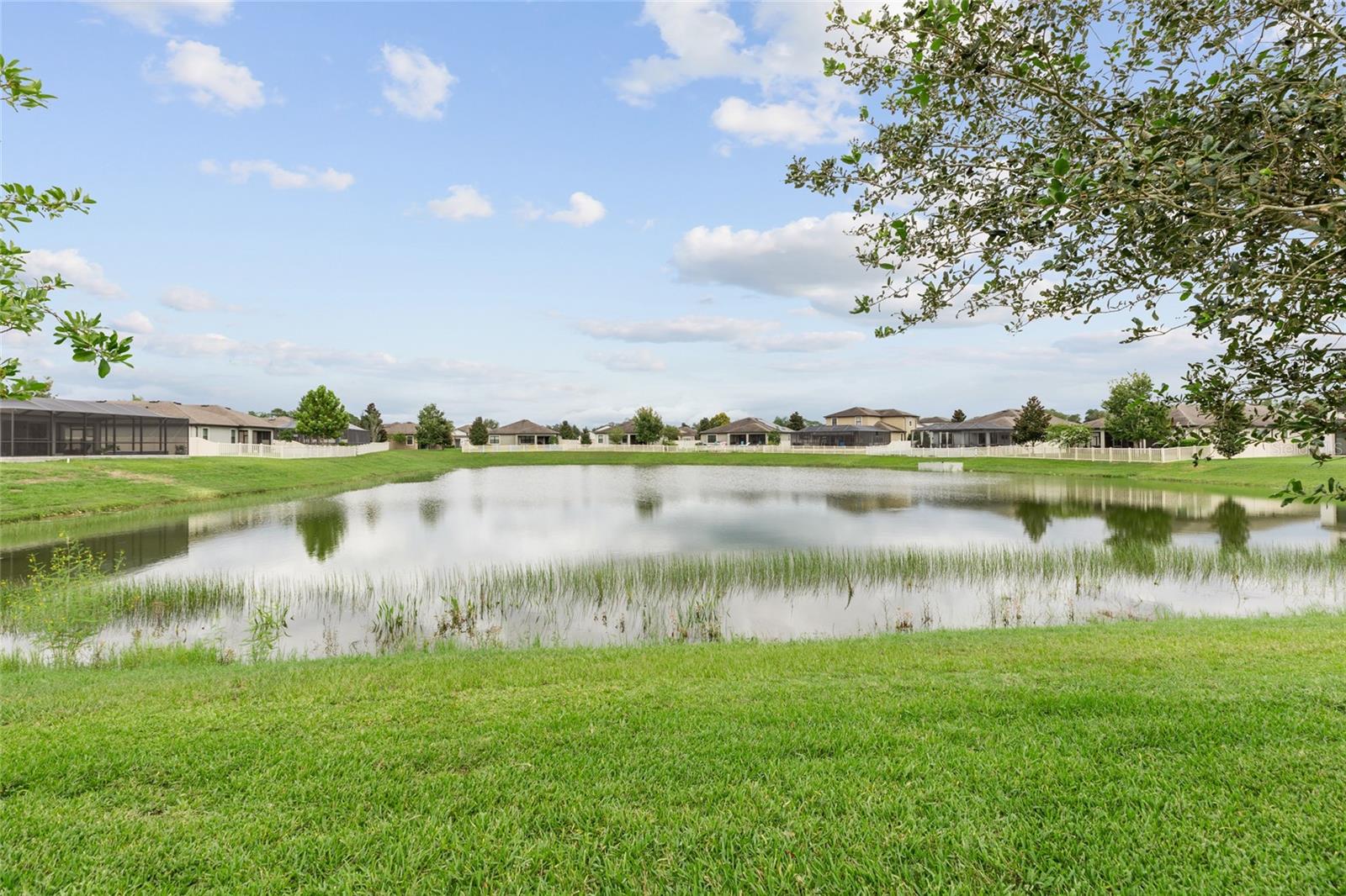 12386 Criollo Rd Property Photo 2