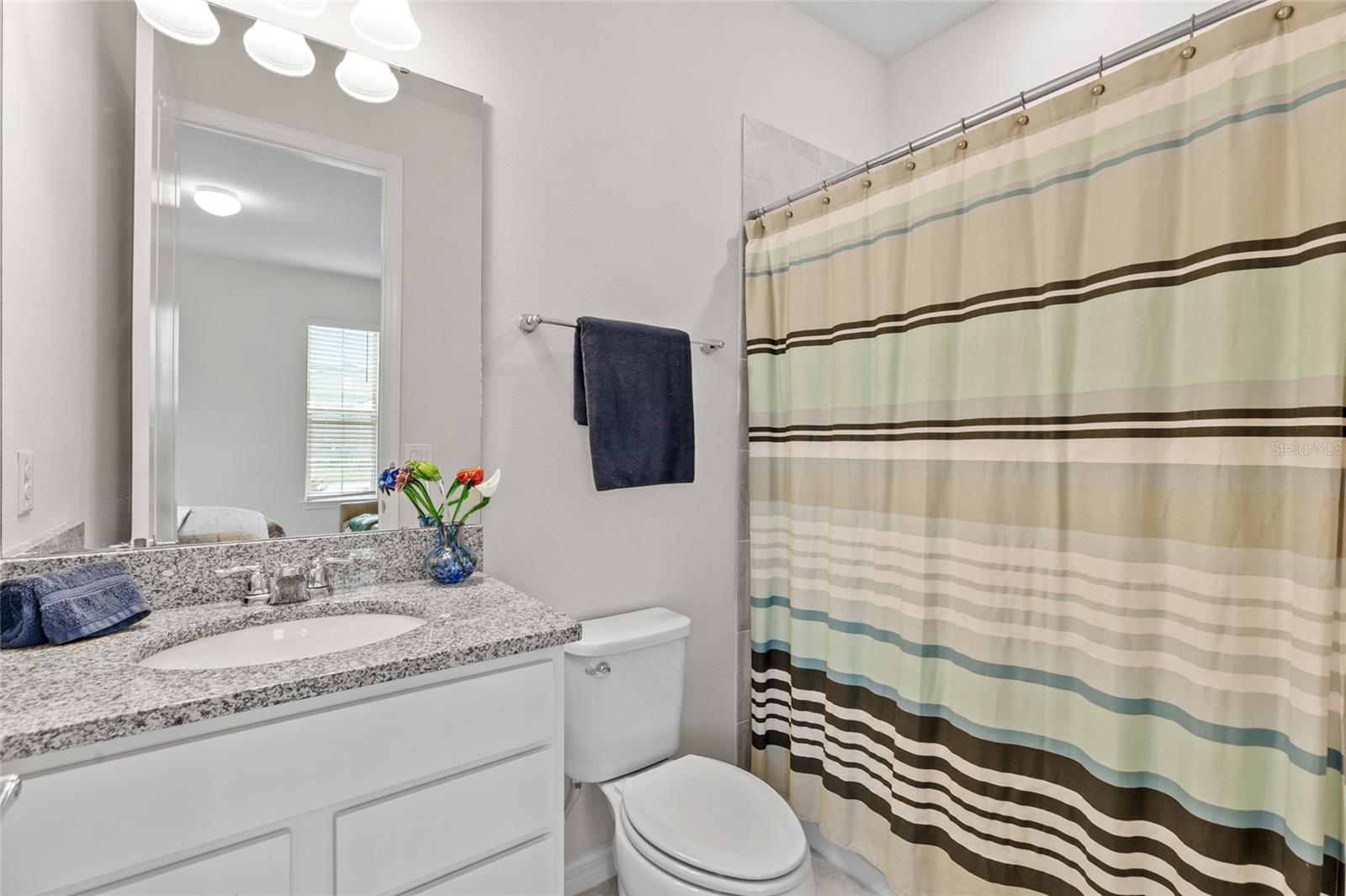 12386 Criollo Rd Property Photo 8