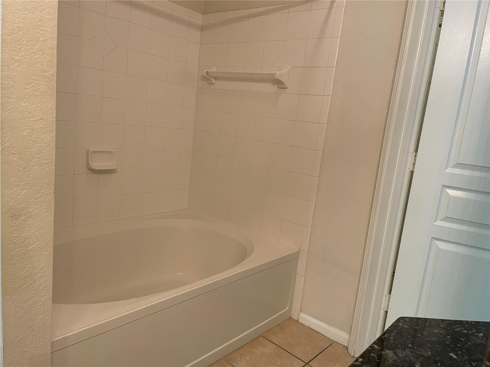 5125 Palm Springs Blvd #7306 Property Photo 10