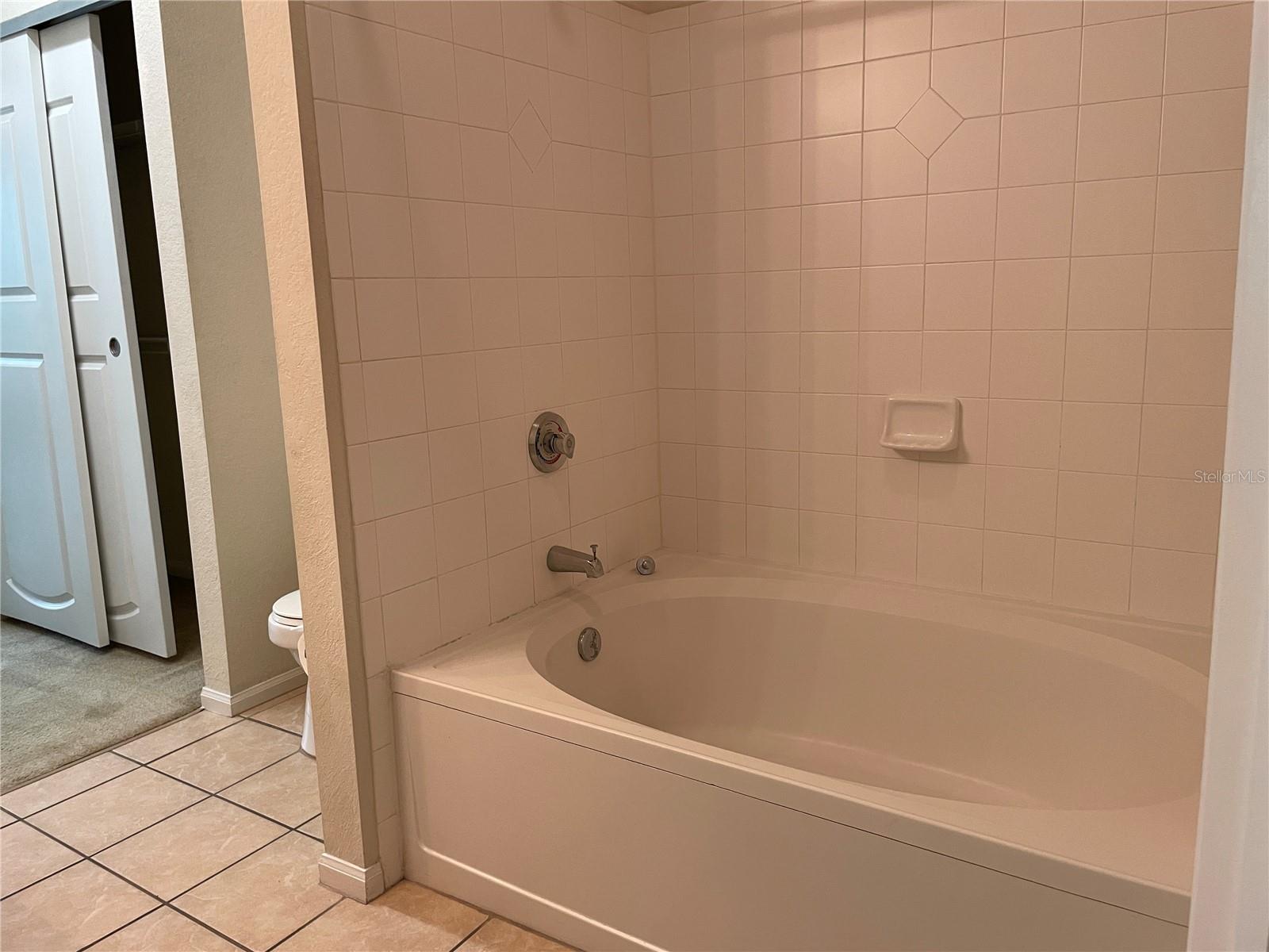 5125 Palm Springs Blvd #7306 Property Photo 11