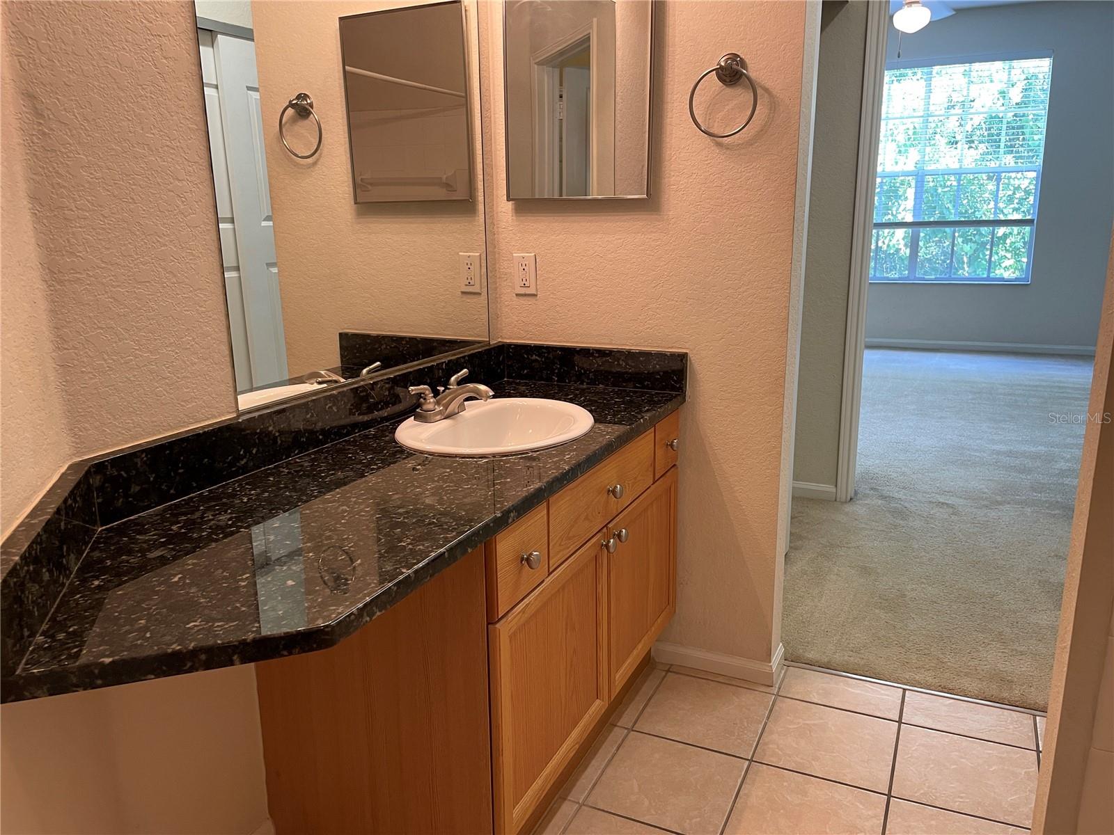 5125 Palm Springs Blvd #7306 Property Photo 12