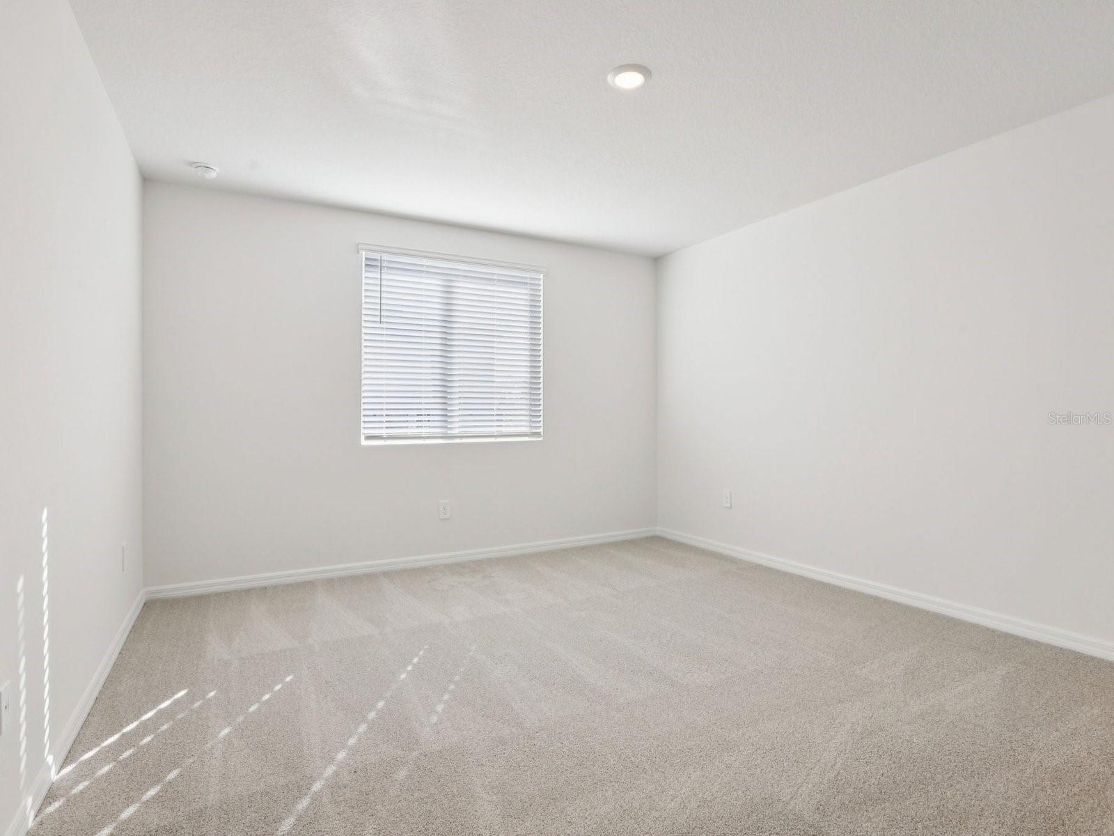 3910 Teak Ln Property Photo 7