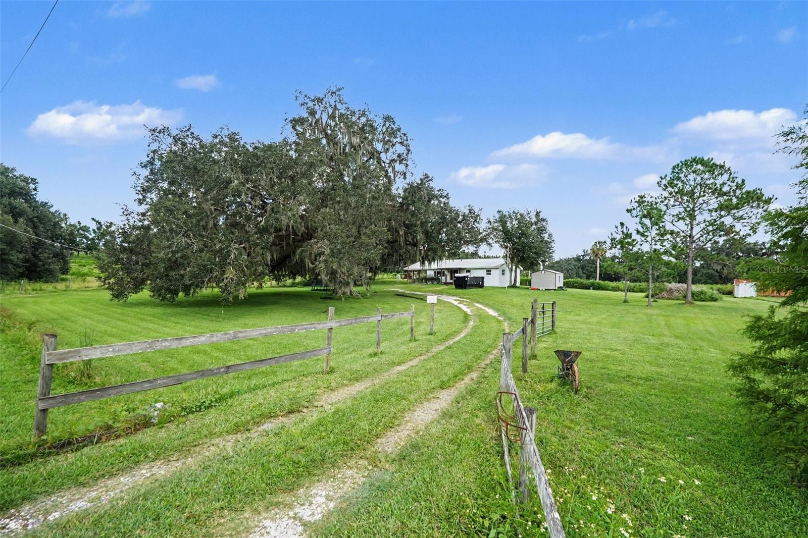 36653 Blanton Rd Property Photo 4