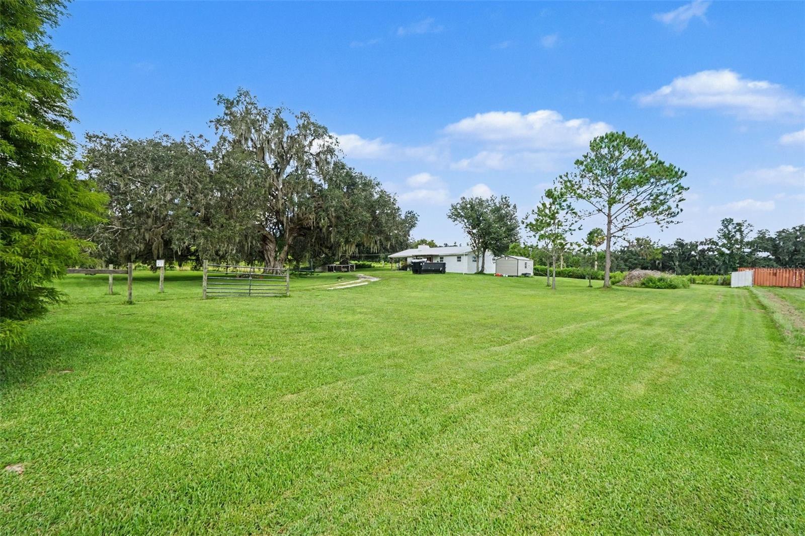 36653 Blanton Rd Property Photo 24