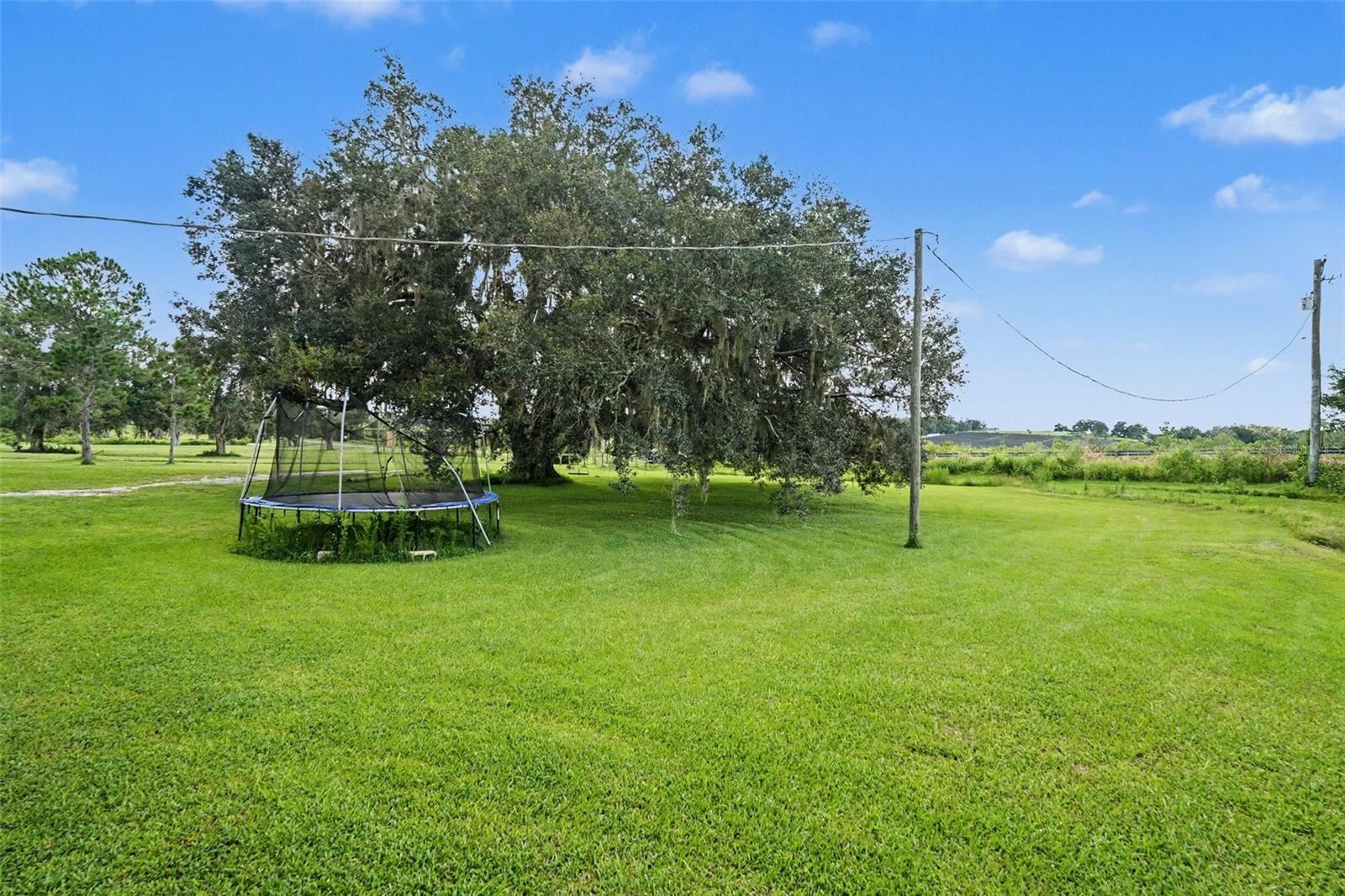 36653 Blanton Rd Property Photo 25