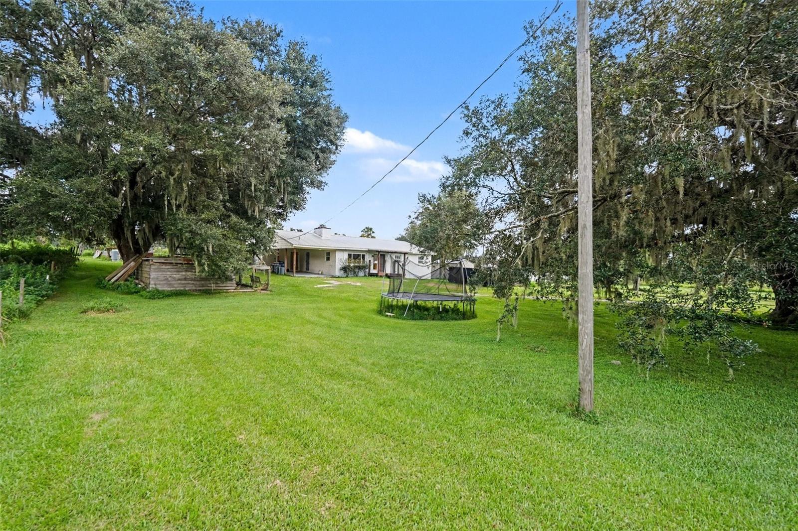 36653 Blanton Rd Property Photo 26