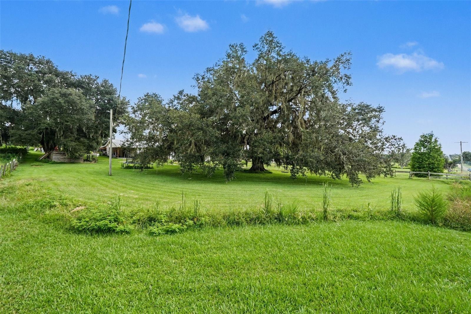 36653 Blanton Rd Property Photo 27