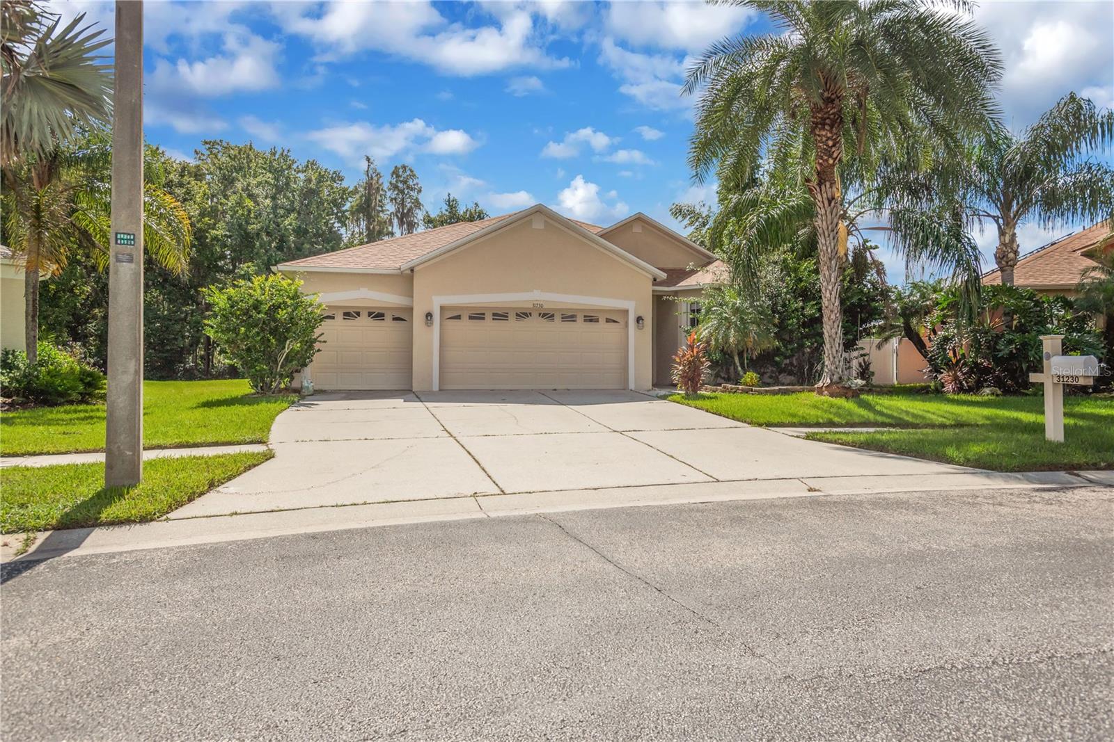 31230 Alchester Dr Property Photo 2