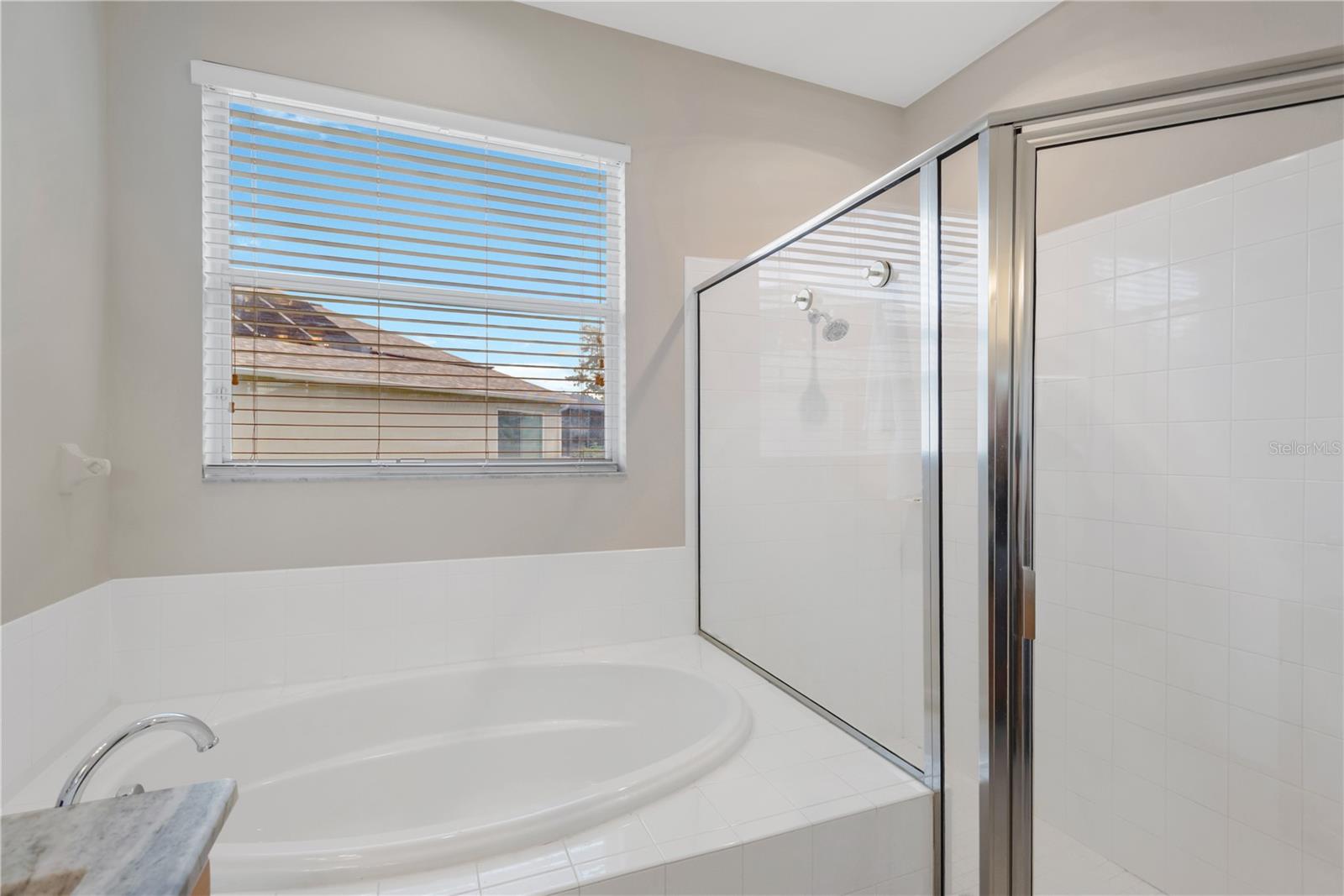 31230 Alchester Dr Property Photo 16