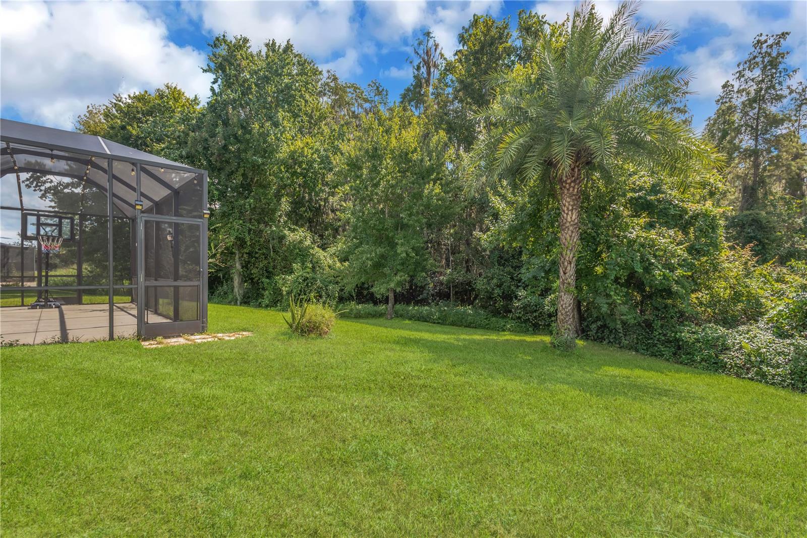 31230 Alchester Dr Property Photo 30