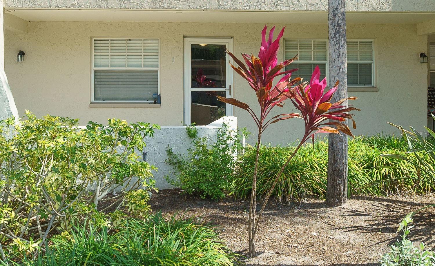 940 Virginia St #103 Property Photo 3