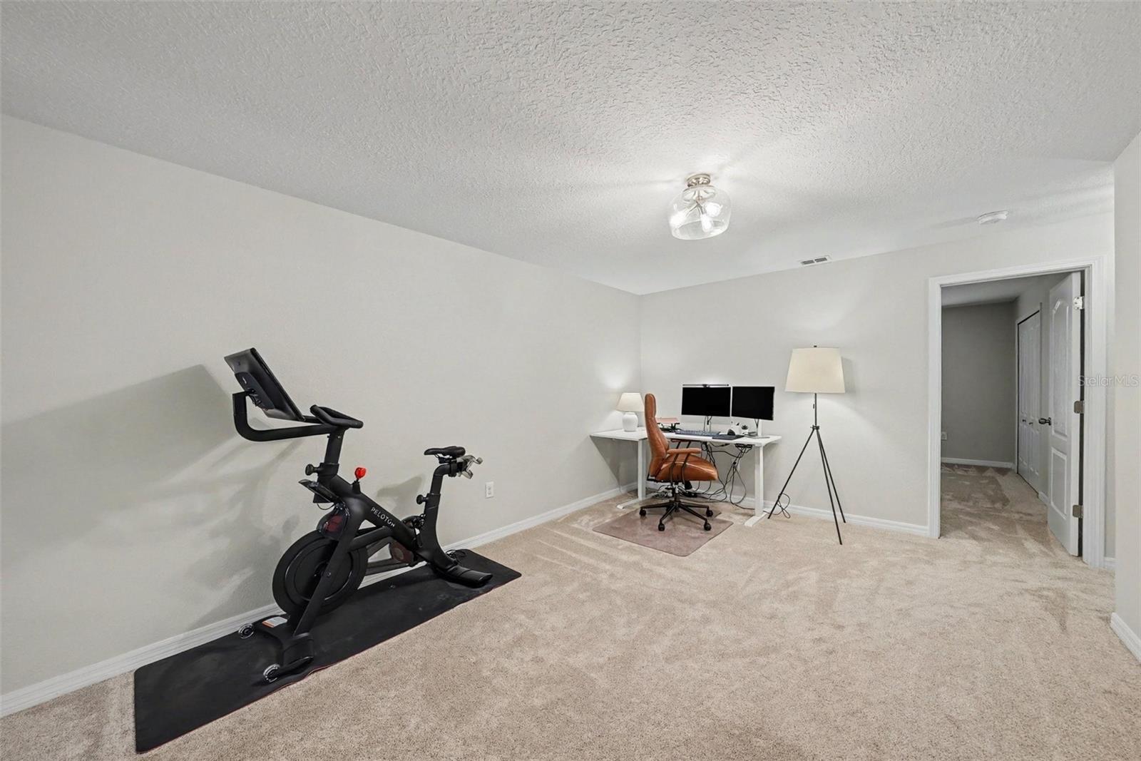 8604 Fiddleleaf Court Property Photo 24