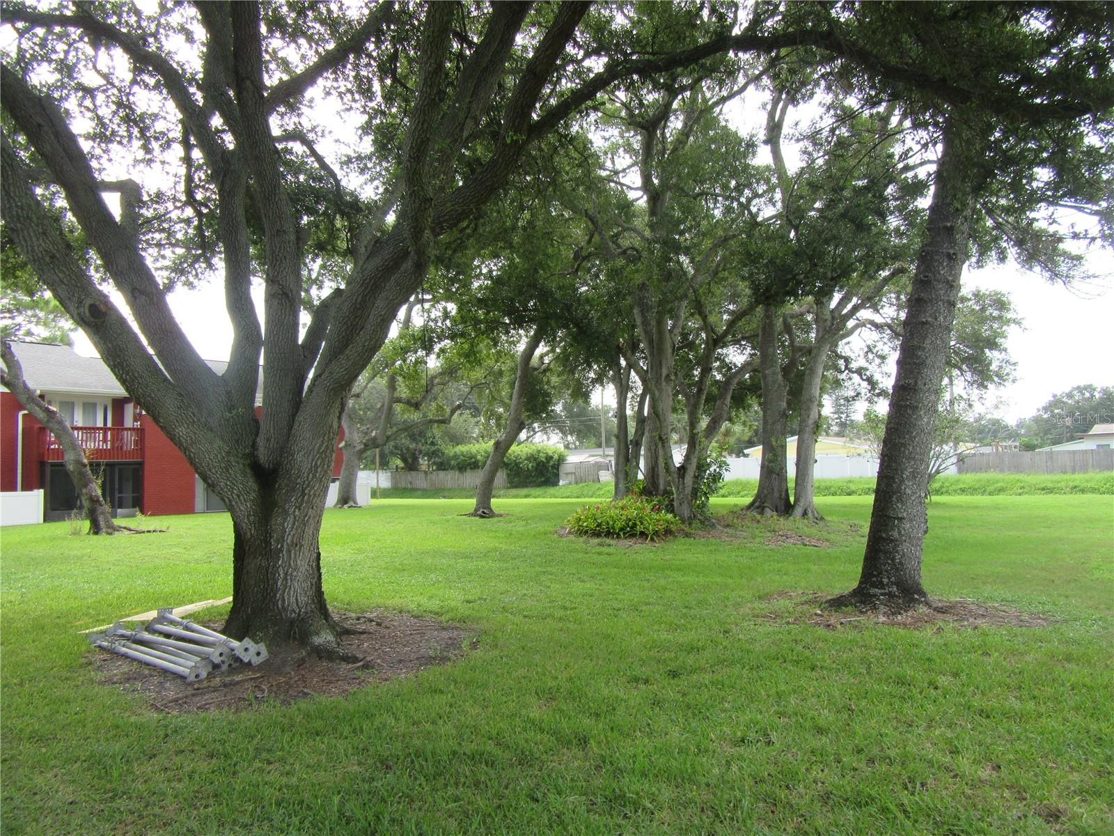 1310 83rd Ave N #d Property Photo 3