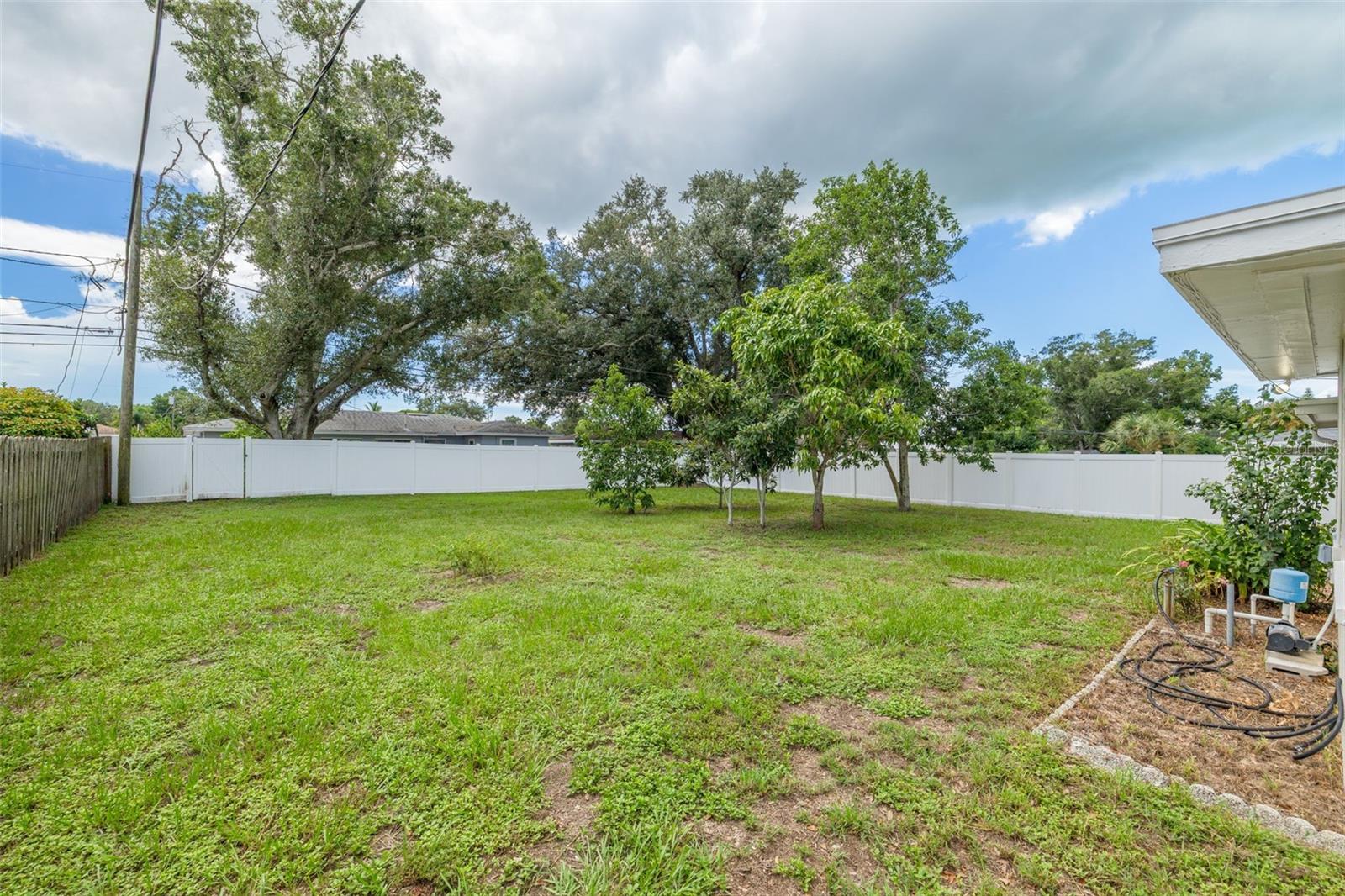 1441 Satsuma St Property Photo 26