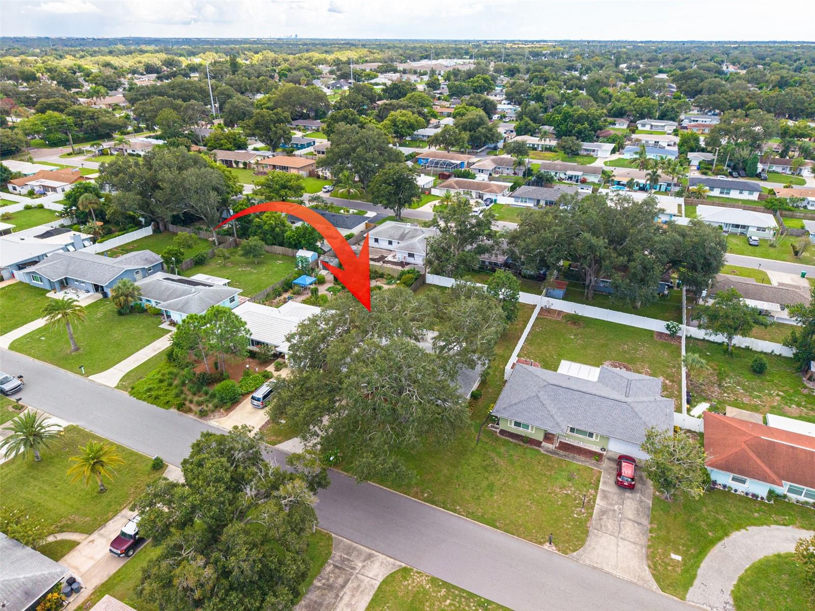 1441 Satsuma St Property Photo 31
