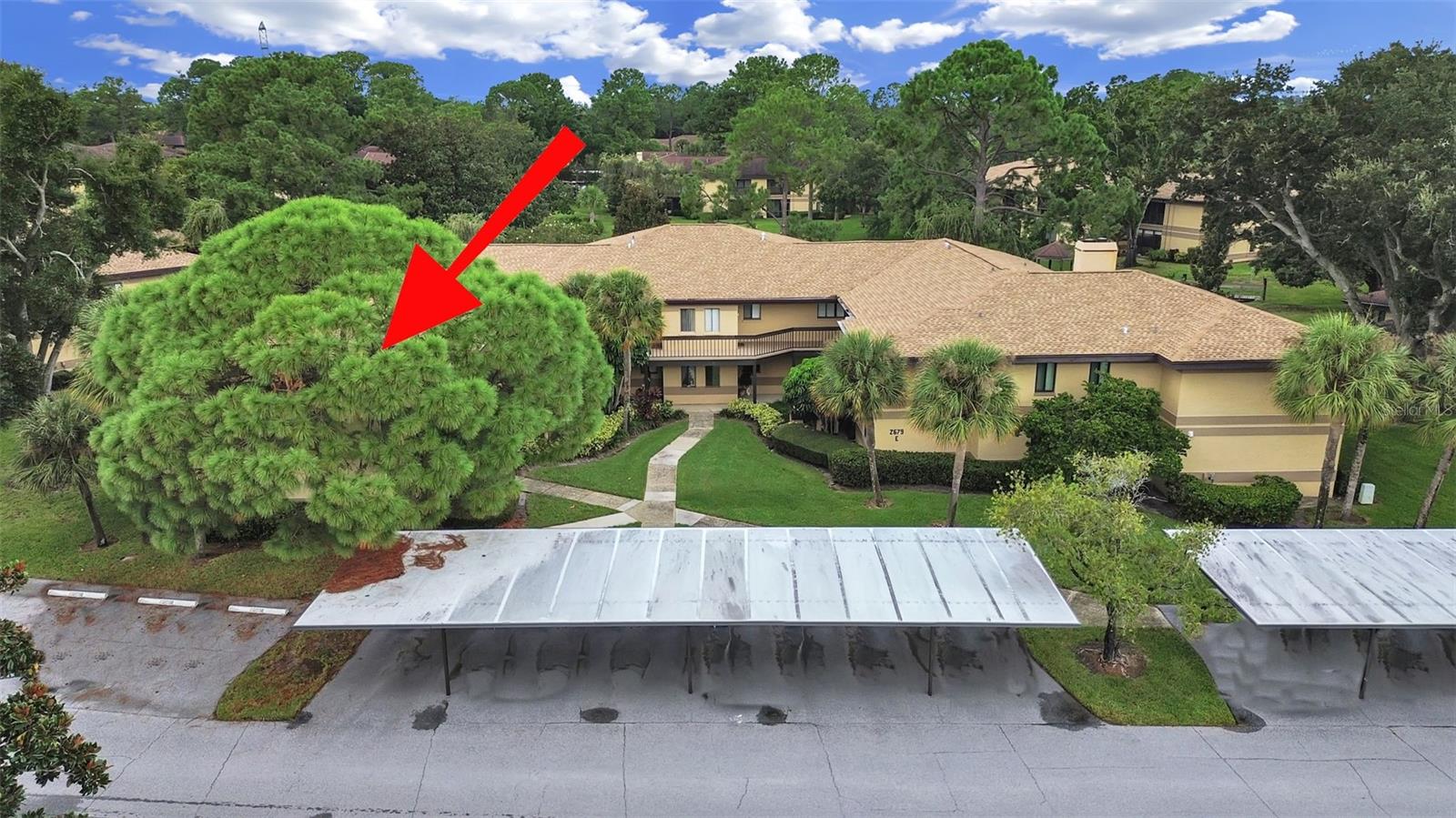 2679 Sabal Springs Cir #201 Property Photo 50