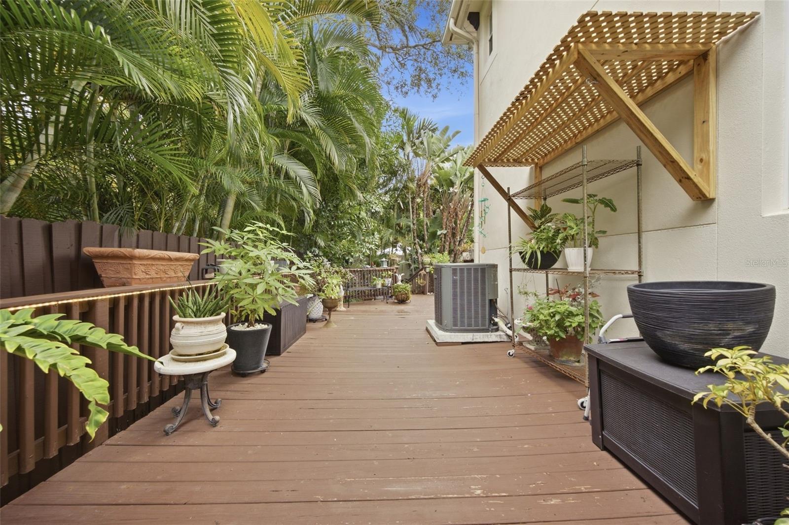 5218 Bayshore Blvd #4 Property Photo 22