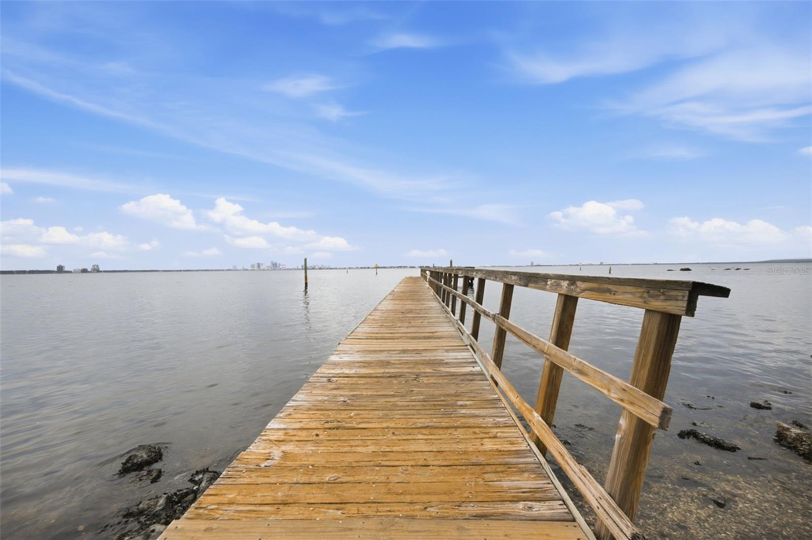5218 Bayshore Blvd #4 Property Photo 54