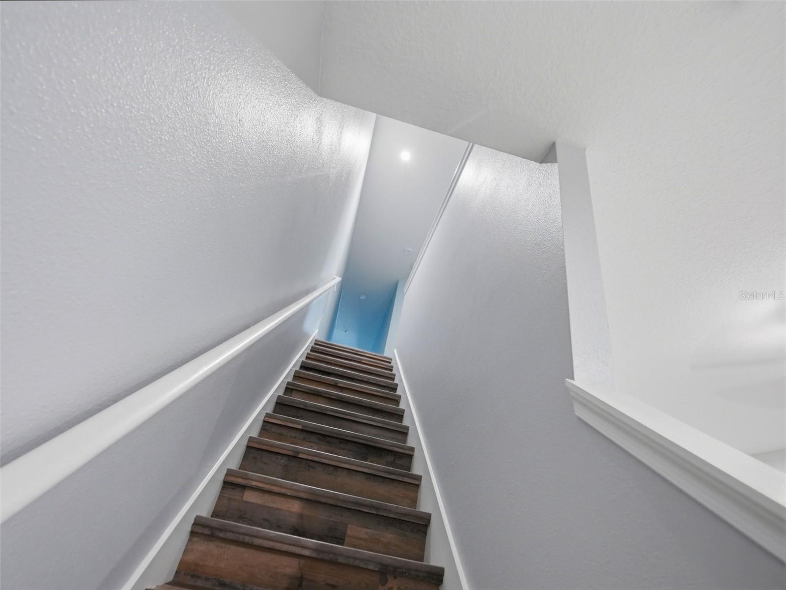 2919 Jacob Crossing Ln Property Photo 16