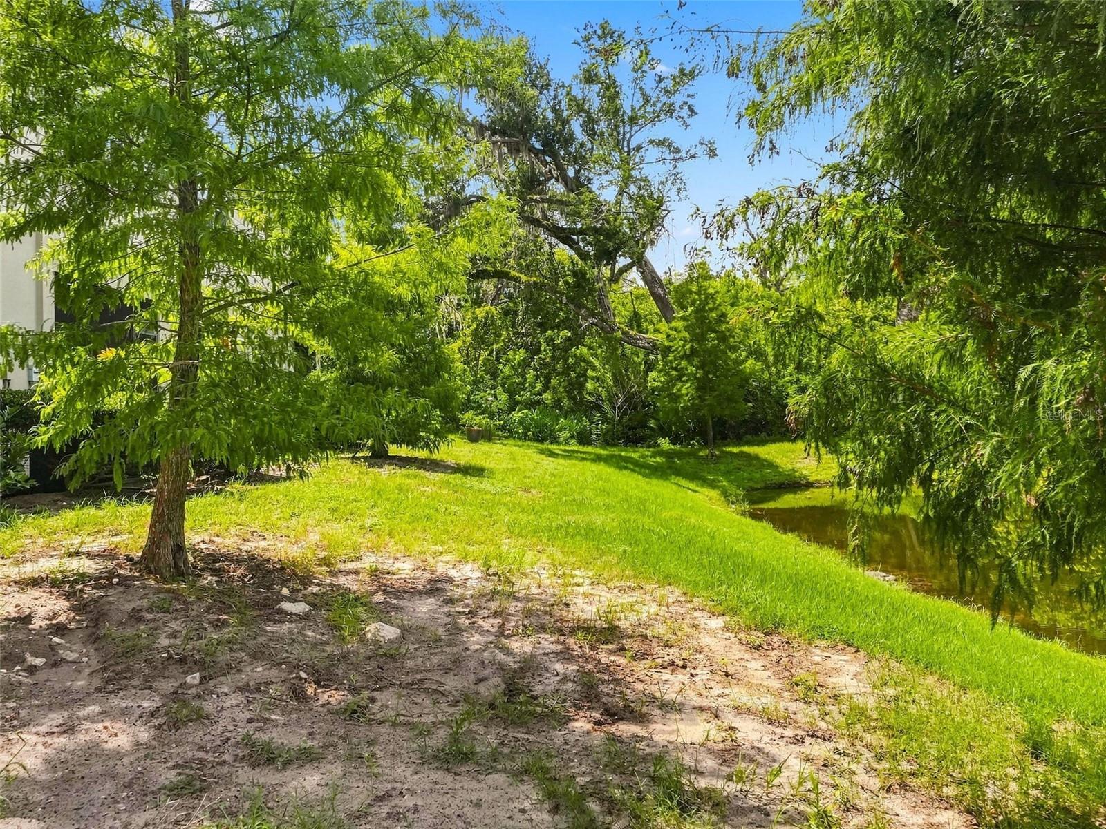 2919 Jacob Crossing Ln Property Photo 35