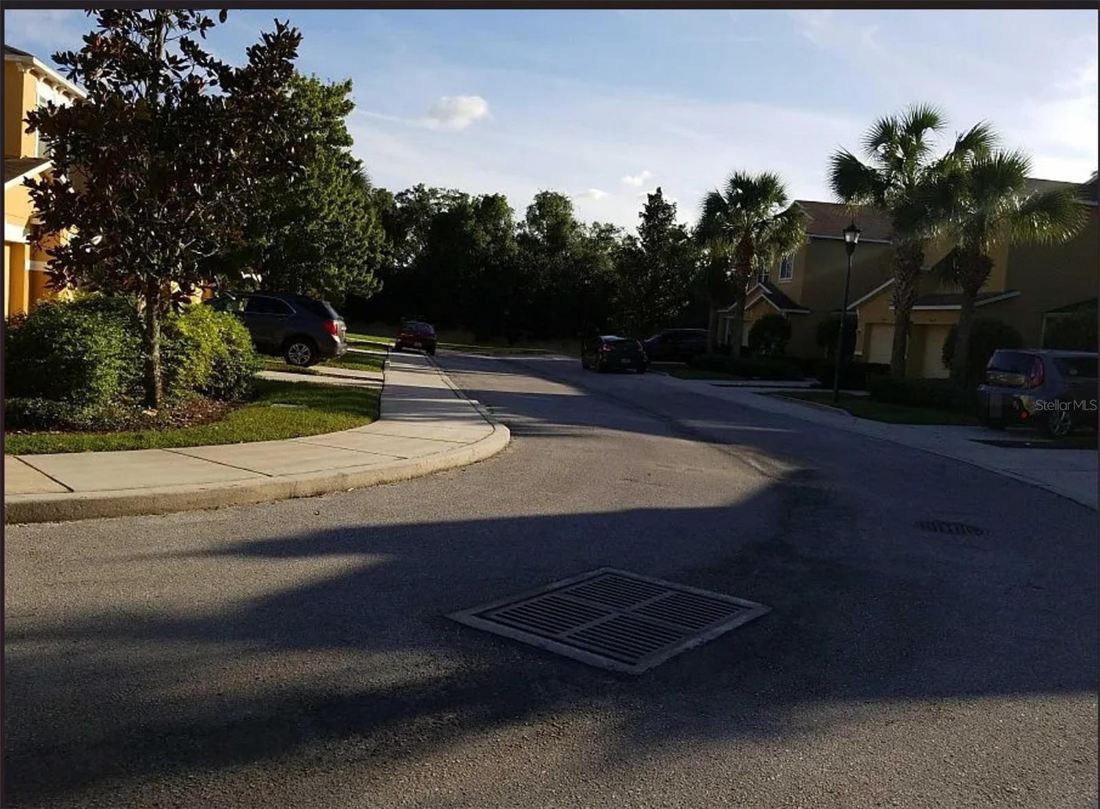 11636 Mango Ridge Blvd Property Photo 17