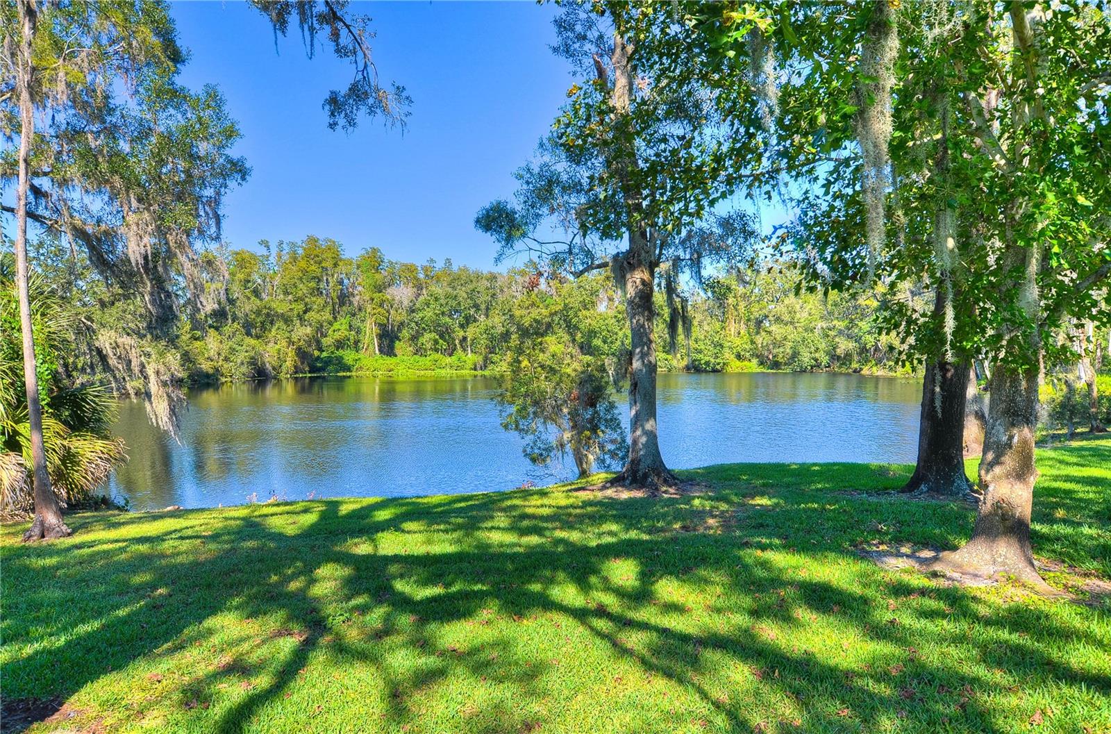 6806 Muncaster Ct Property Photo 73